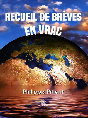 cover image of Recueil de brèves en vrac